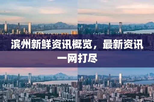滨州新鲜资讯概览，最新资讯一网打尽