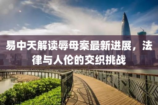 易中天解读辱母案最新进展，法律与人伦的交织挑战