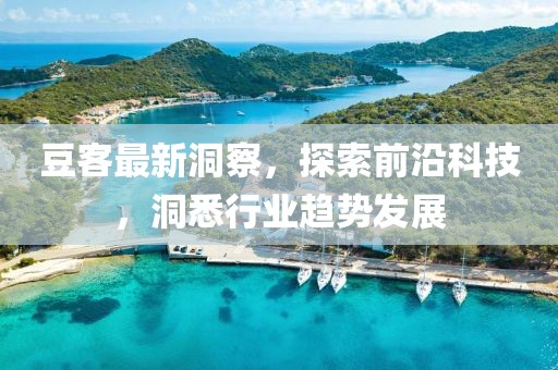 豆客最新洞察，探索前沿科技，洞悉行业趋势发展