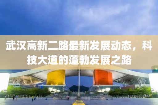 武汉高新二路最新发展动态，科技大道的蓬勃发展之路