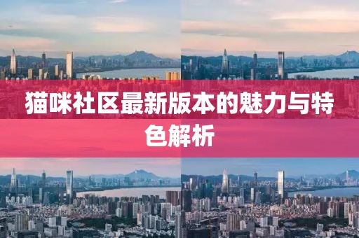猫咪社区最新版本的魅力与特色解析