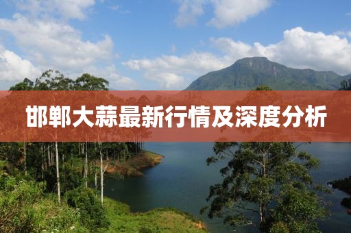 邯郸大蒜最新行情及深度分析