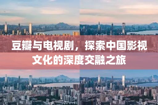 豆瓣与电视剧，探索中国影视文化的深度交融之旅