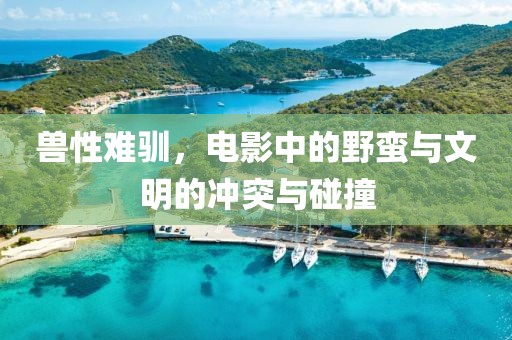 兽性难驯，电影中的野蛮与文明的冲突与碰撞