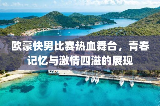 欧豪快男比赛热血舞台，青春记忆与激情四溢的展现