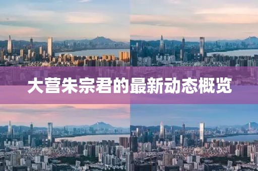 大营朱宗君的最新动态概览