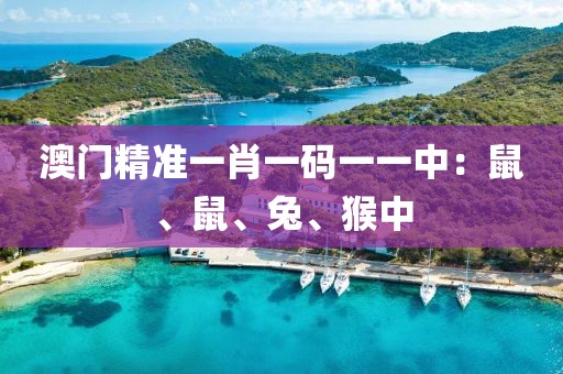 澳门精准一肖一码一一中：鼠、鼠、兔、猴中