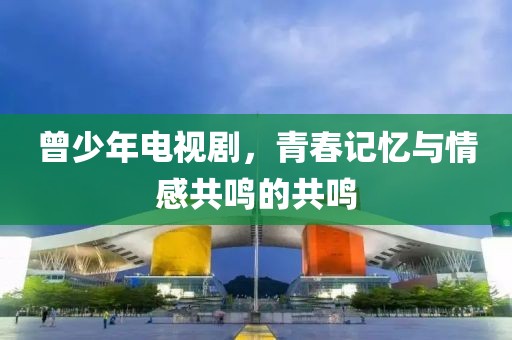 曾少年电视剧，青春记忆与情感共鸣的共鸣