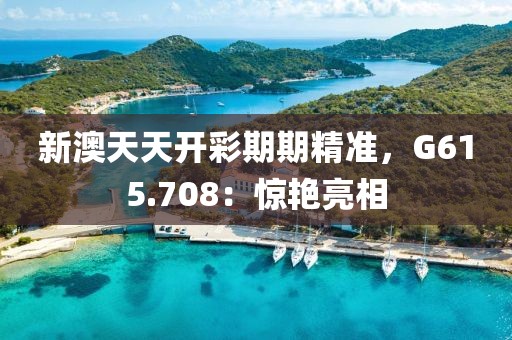 新澳天天开彩期期精准，G615.708：惊艳亮相