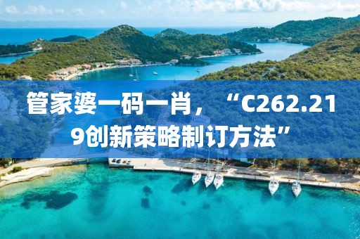 管家婆一码一肖，“C262.219创新策略制订方法”
