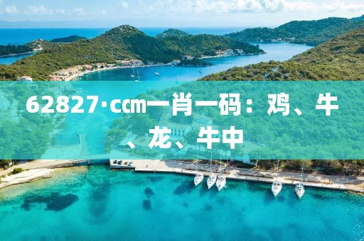 62827·c㎝一肖一码：鸡、牛、龙、牛中
