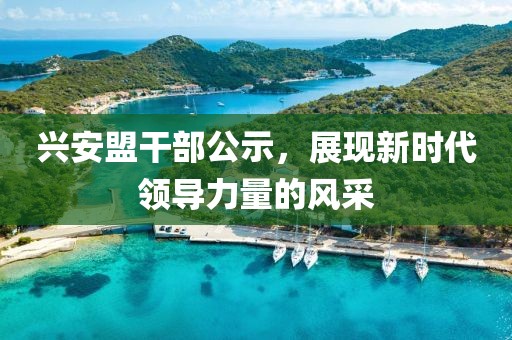 兴安盟干部公示，展现新时代领导力量的风采