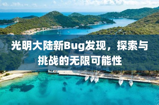光明大陆新Bug发现，探索与挑战的无限可能性