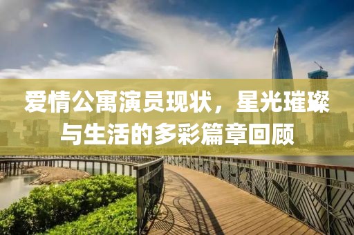 爱情公寓演员现状，星光璀璨与生活的多彩篇章回顾