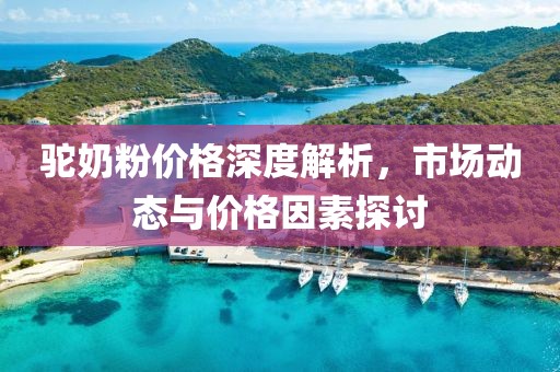 驼奶粉价格深度解析，市场动态与价格因素探讨