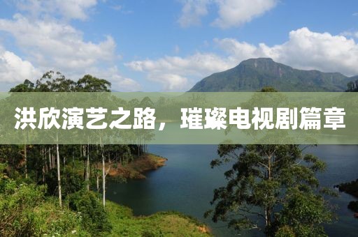 洪欣演艺之路，璀璨电视剧篇章