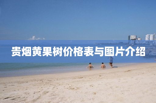 贵烟黄果树价格表与图片介绍
