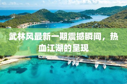 武林风最新一期震撼瞬间，热血江湖的呈现
