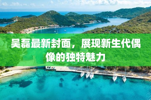 吴磊最新封面，展现新生代偶像的独特魅力