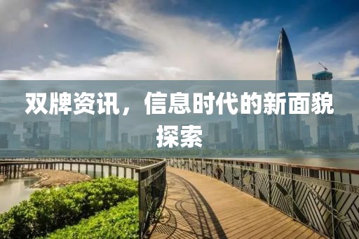 双牌资讯，信息时代的新面貌探索