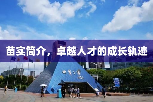 苗实简介，卓越人才的成长轨迹