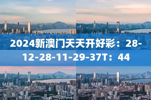 2024新澳门天天开好彩：28-12-28-11-29-37T：44