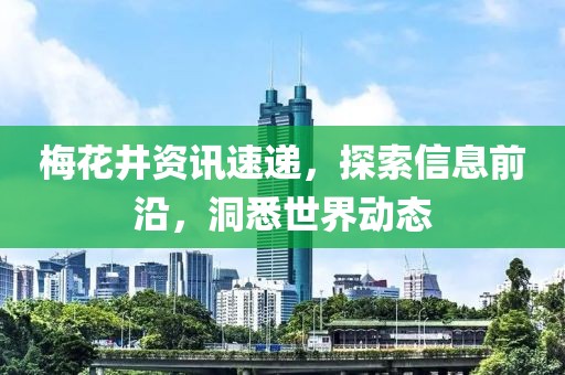 梅花井资讯速递，探索信息前沿，洞悉世界动态