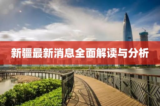 新疆最新消息全面解读与分析