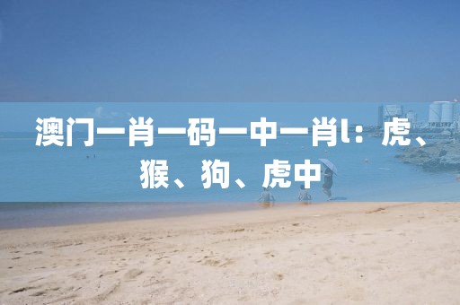 澳门一肖一码一中一肖l：虎、猴、狗、虎中
