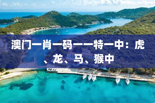 澳门一肖一码一一特一中：虎、龙、马、猴中