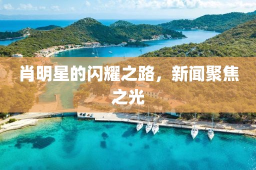 肖明星的闪耀之路，新闻聚焦之光