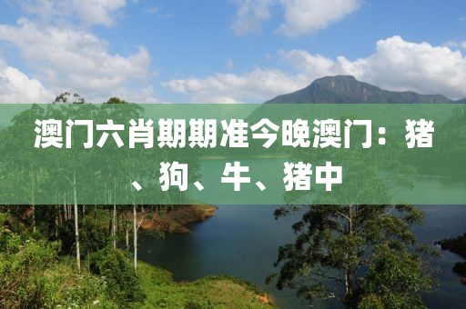 澳门六肖期期准今晚澳门：猪、狗、牛、猪中