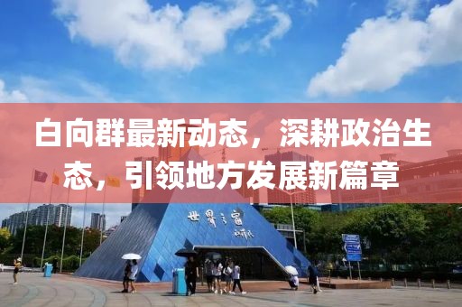 白向群最新动态，深耕政治生态，引领地方发展新篇章