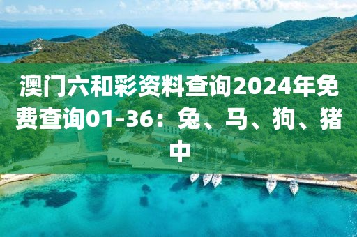 澳门六和彩资料查询2024年免费查询01-36：兔、马、狗、猪中