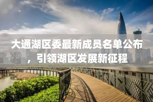 大通湖区委最新成员名单公布，引领湖区发展新征程