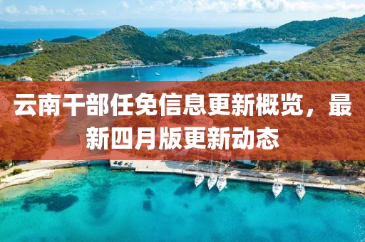 云南干部任免信息更新概览，最新四月版更新动态