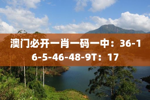 澳门必开一肖一码一中：36-16-5-46-48-9T：17