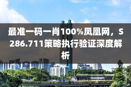 最准一码一肖100%凤凰网，S286.711策略执行验证深度解析