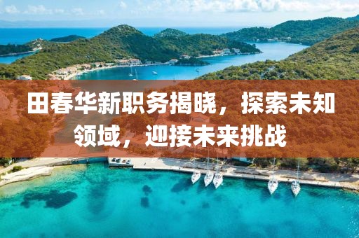 田春华新职务揭晓，探索未知领域，迎接未来挑战