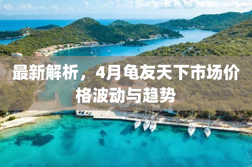 最新解析，4月龟友天下市场价格波动与趋势