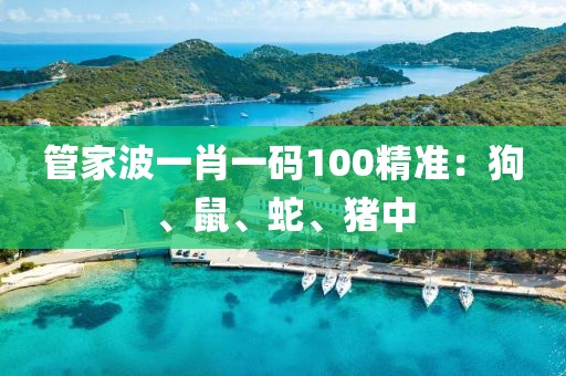 管家波一肖一码100精准：狗、鼠、蛇、猪中