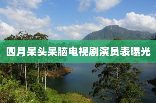 四月呆头呆脑电视剧演员表曝光
