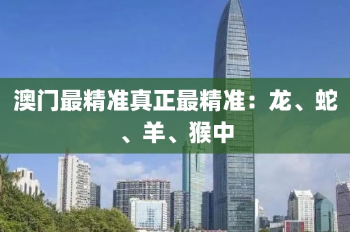 澳门最精准真正最精准：龙、蛇、羊、猴中