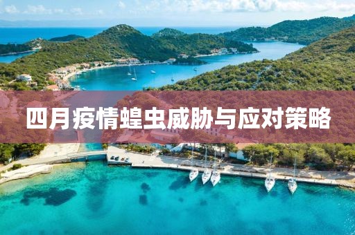 四月疫情蝗虫威胁与应对策略