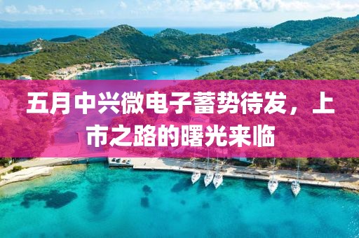 五月中兴微电子蓄势待发，上市之路的曙光来临
