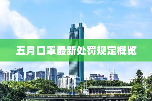 五月口罩最新处罚规定概览