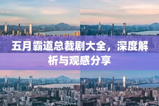 五月霸道总裁剧大全，深度解析与观感分享
