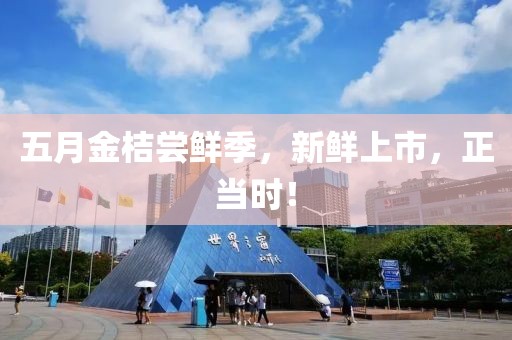 五月金桔尝鲜季，新鲜上市，正当时！