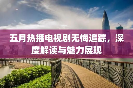 五月热播电视剧无悔追踪，深度解读与魅力展现