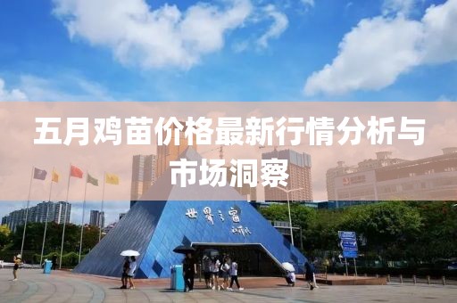 五月鸡苗价格最新行情分析与市场洞察